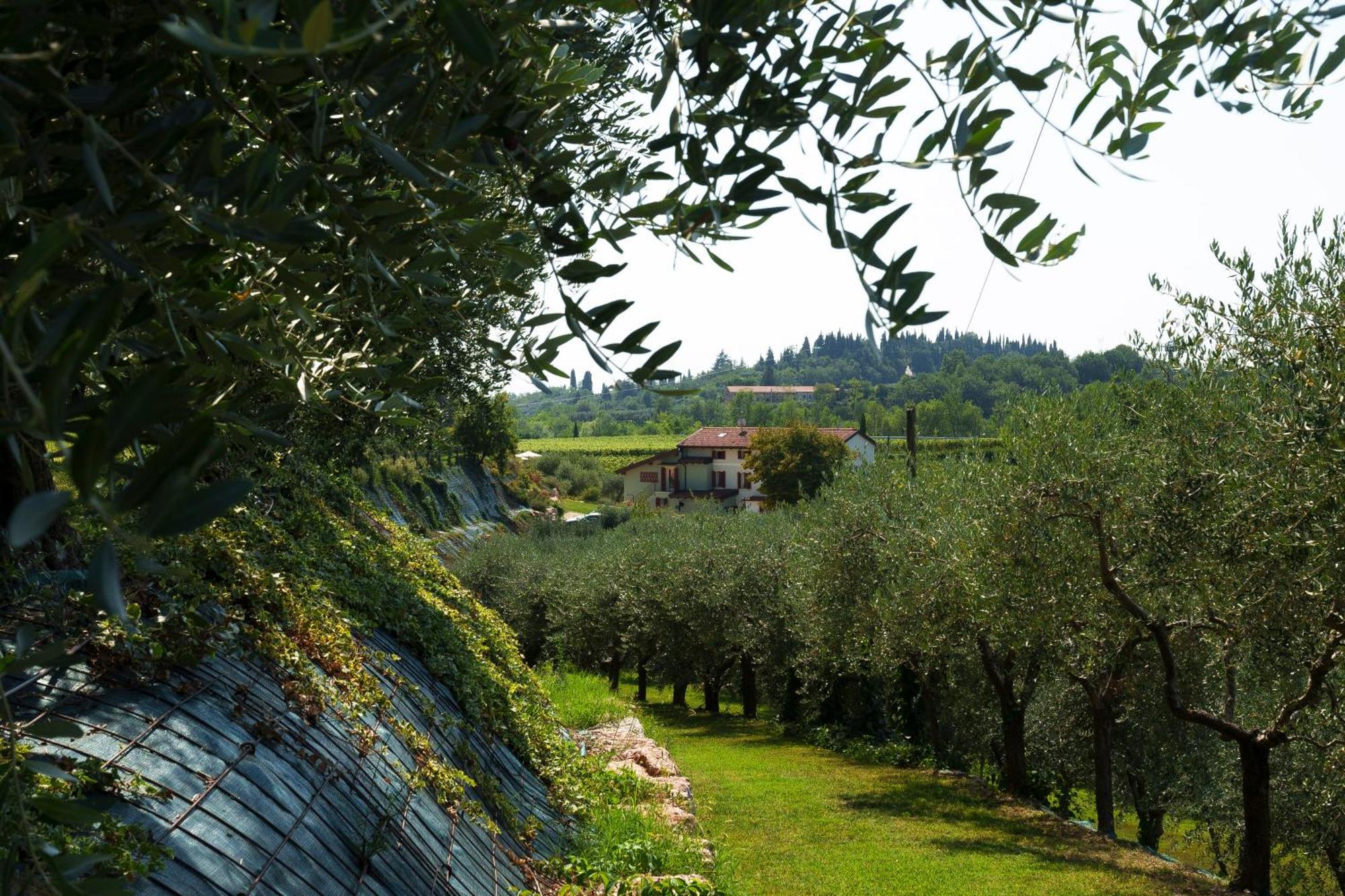 Bed and Breakfast Residenza Vesentini Pastrengo Zewnętrze zdjęcie
